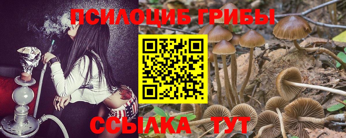где можно купить   Псилоцибиновые грибы MAGIC MUSHROOMS  Вход с VPN  Валуйки 